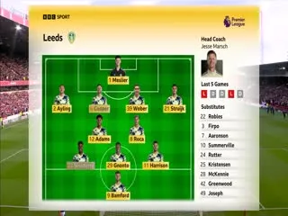 食肉动物年